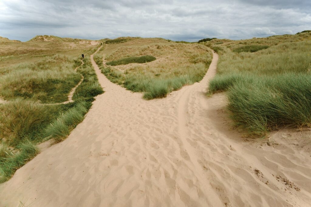 Winding sandy path through coastal dune grass