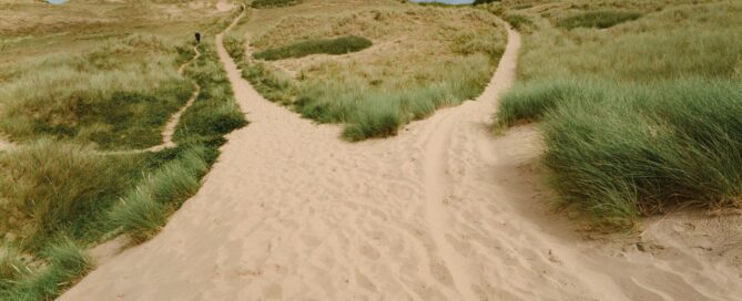 Winding sandy path through coastal dune grass